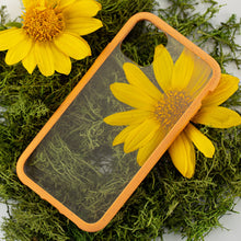 Load image into Gallery viewer, Clear Eco-Friendly iPhone 11 Pro Max Case with Cantaloupe Ridge
